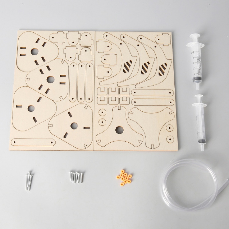 Mainan Model Penjepit Mekanis  - Science Project Diy ulasan dan harga
